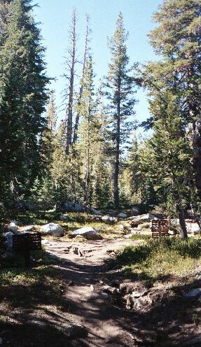 Benson Lake Loop Trip