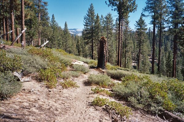 Ottoway Lakes Loop Trip