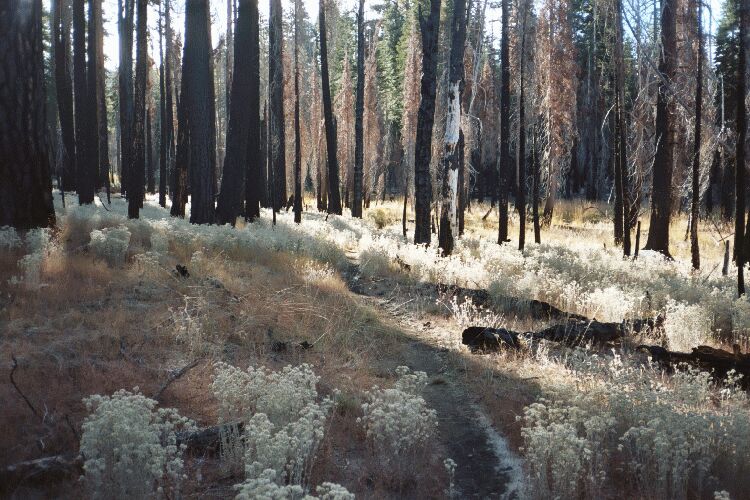 Ottoway Lakes Loop Trip