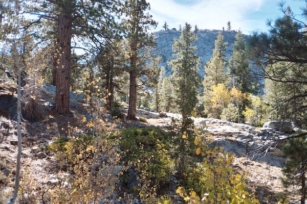 Ottoway Lakes Loop Trip