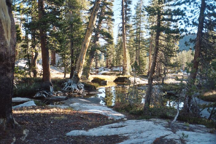 Ottoway Lakes Loop Trip