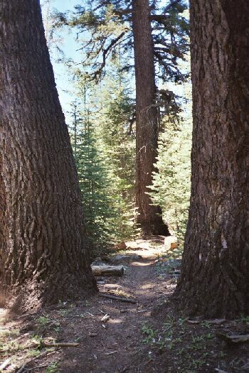 Silver Divide Trip