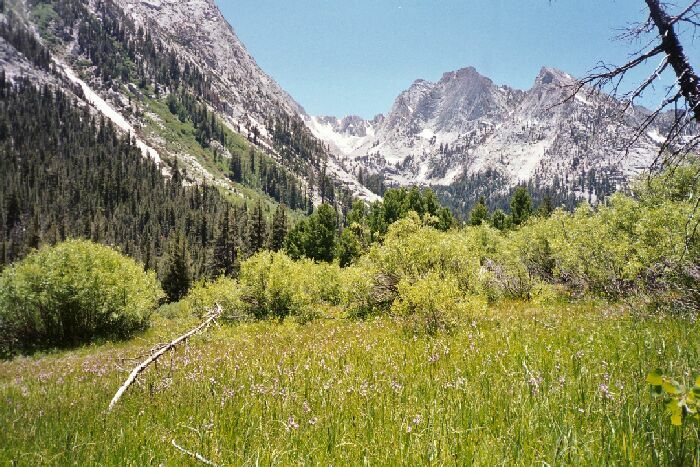 Silver Divide Trip