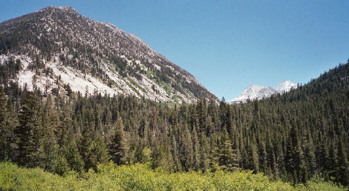 Silver Divide Trip