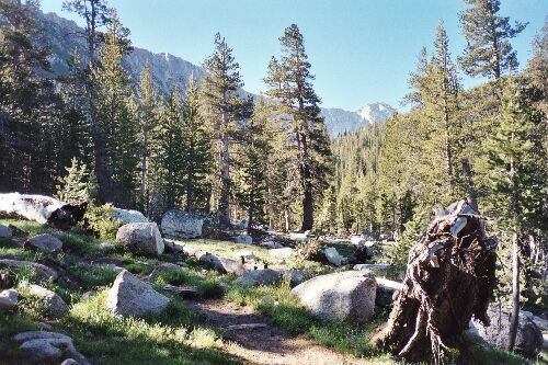 Silver Divide Trip