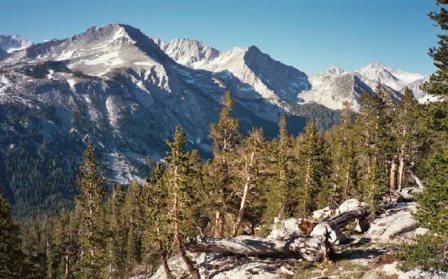 Pioneer Basin Area Trip