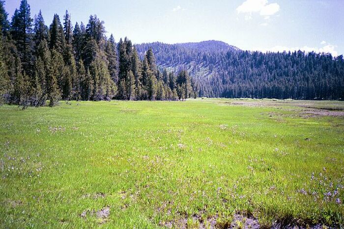 Silver Divide Trip