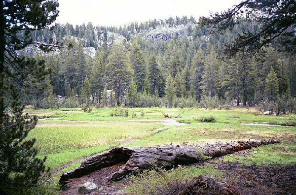 Silver Divide trip