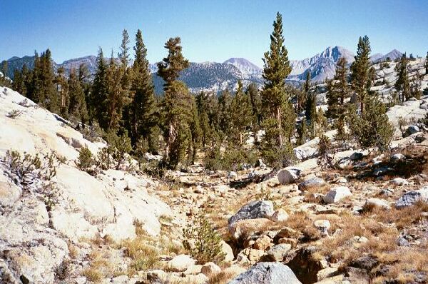 Silver Divide Trip