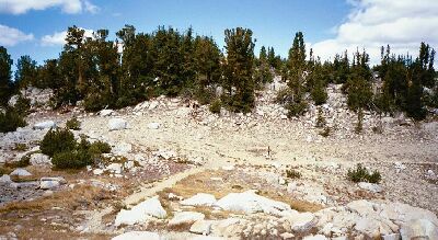 Silver Divide Trip