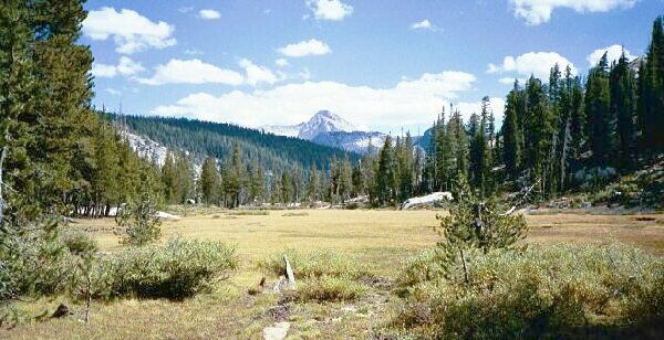 Silver Divide Trip
