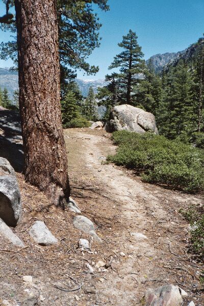 The Grand Canyon of the Tuolumne and Falls