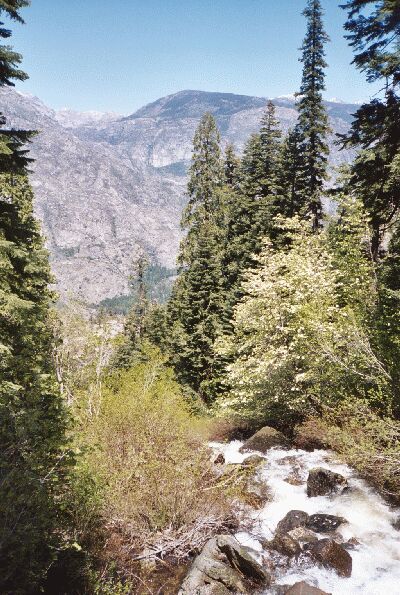 The Grand Canyon of the Tuolumne and Falls