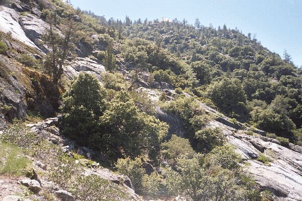 The Grand Canyon of the Tuolumne and Falls