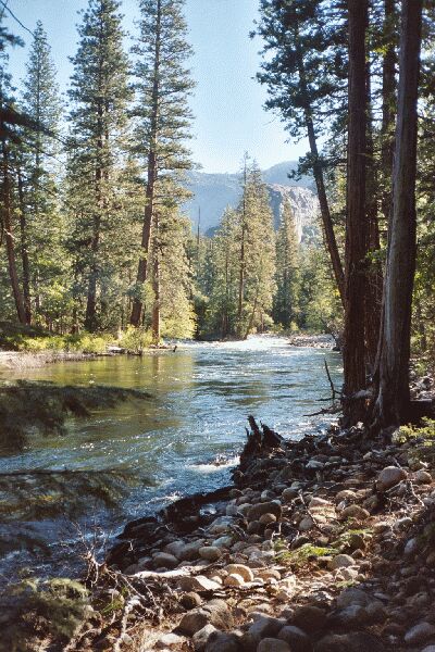 The Grand Canyon of the Tuolumne and Falls