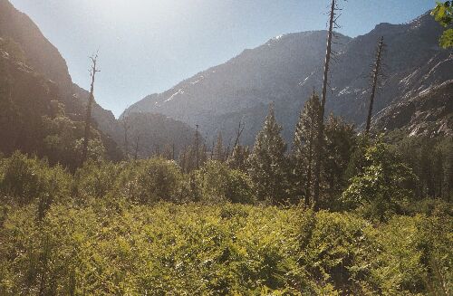 The Grand Canyon of the Tuolumne and Falls