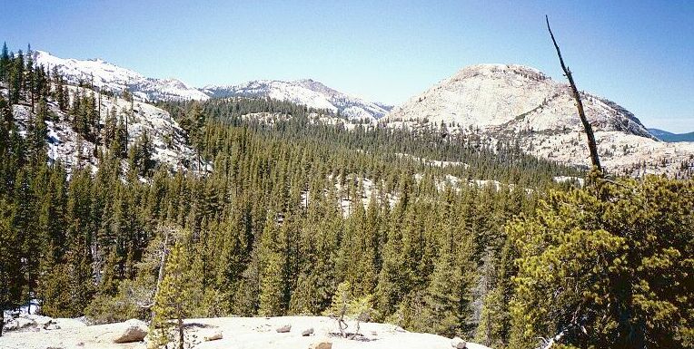 The Grand Canyon of the Tuolumne and Falls