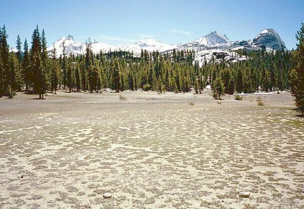 The Grand Canyon of the Tuolumne and Falls